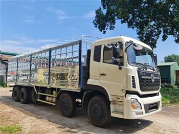 Xe tải Dongfeng 5 chân lướt êm trên mọi cung đường Việt Nam